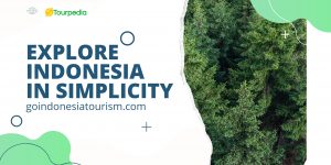 Indonesia tourism